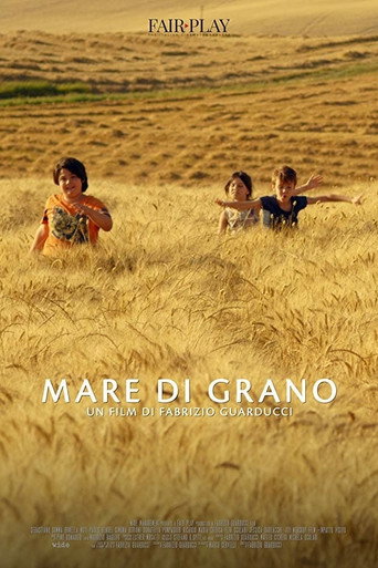 Mare di grano movie poster
