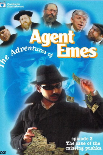 Agent Emes 3: The Case of the Missing Pushka movie poster