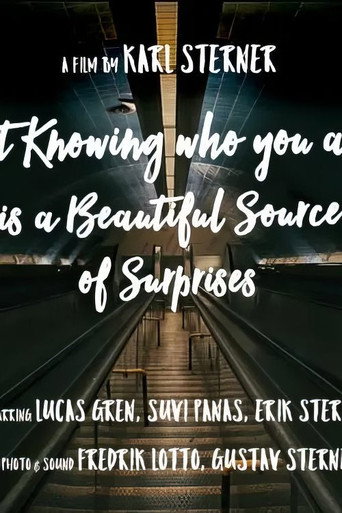 Not knowing who you are is a beautiful source of surprises movie poster