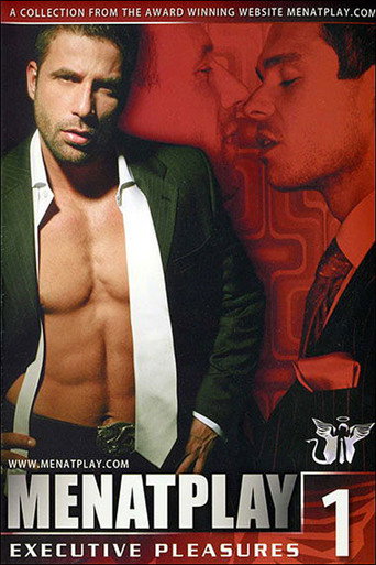 Executive Pleasures 1 movie poster