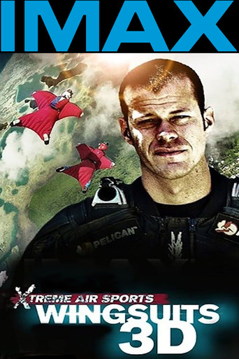Wingsuit Warrior movie poster