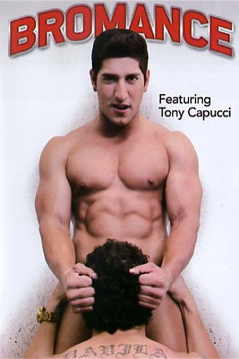 Bromance movie poster