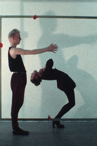 Dance Within Frame movie poster