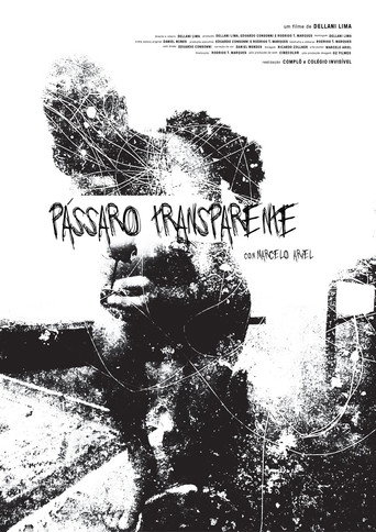 Pássaro Transparente movie poster