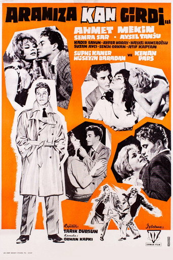 Aramıza Kan Girdi movie poster