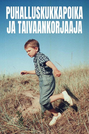 Puhalluskukkapoika ja taivaankorjaaja movie poster