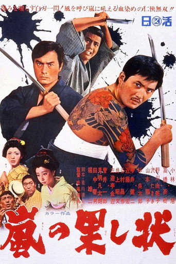 Duel in the Storm movie poster