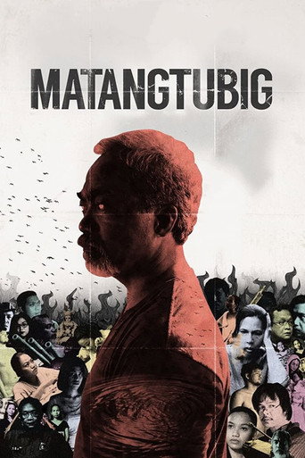 Matangtubig movie poster