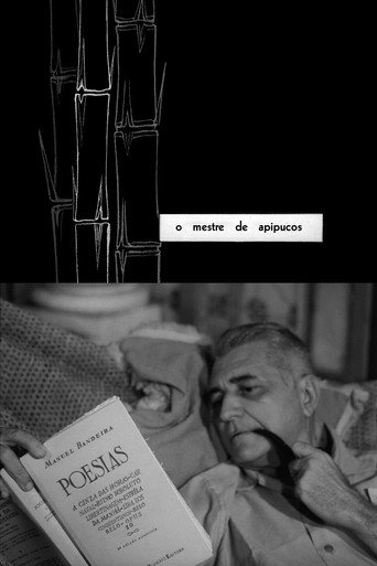 The Master of Apipucos movie poster