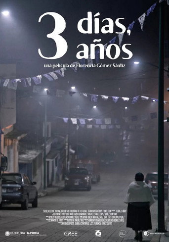 3 Days, 3 Years movie poster