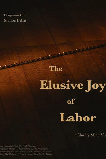 The Elusive Joy of Labor movie poster