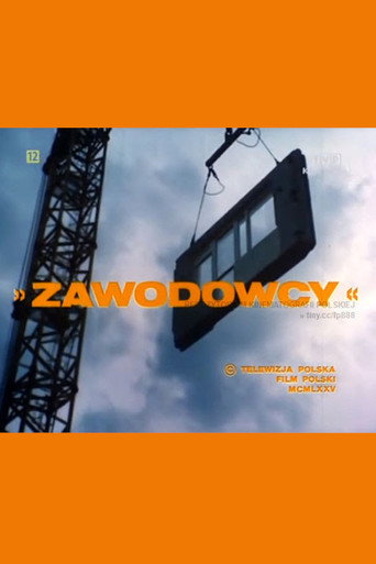 Zawodowcy movie poster