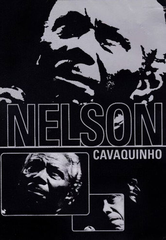 Nelson Cavaquinho: MPB Especial movie poster