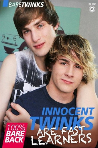 Innocent Twinks Are Fast Learners movie poster