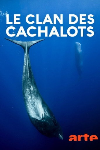 Le clan des cachalots movie poster