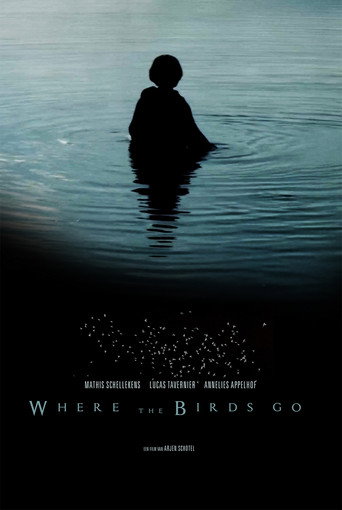 Where the birds go movie poster