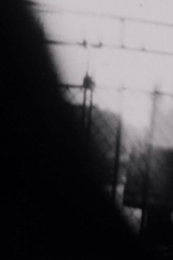 Double Shutter movie poster