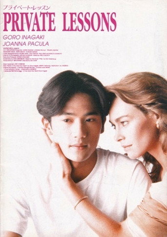 Private Lessons II movie poster