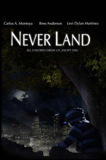 Never Land movie poster