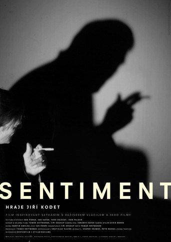 Sentiment movie poster