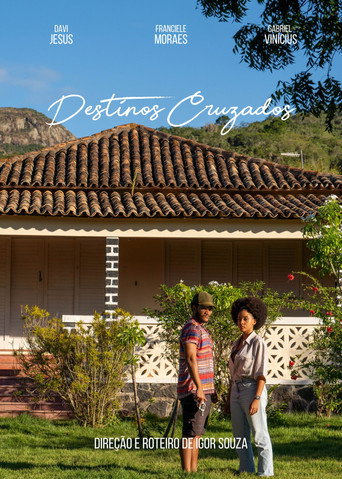 Destinos Cruzados movie poster
