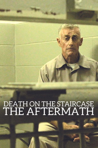 Death on the Staircase: The Aftermath movie poster
