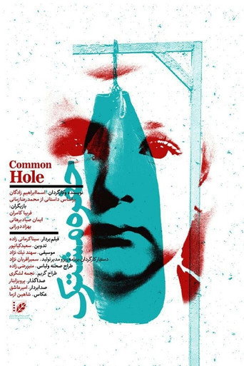 Common Hole movie poster
