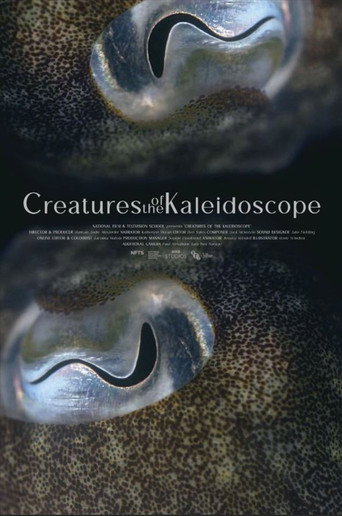 Creatures of the Kaleidoscope movie poster