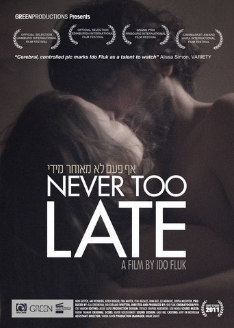 Never Too Late movie poster