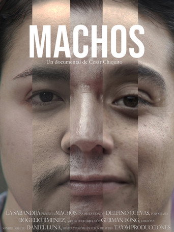 Machos movie poster