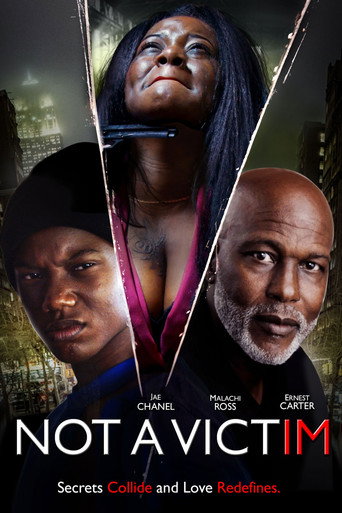 Not a Victim movie poster