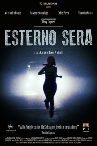 Esterno sera movie poster