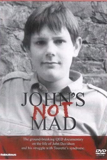 John's Not Mad movie poster