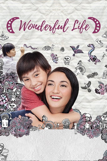 Wonderful Life movie poster