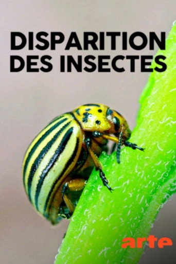 Das große Insektensterben movie poster