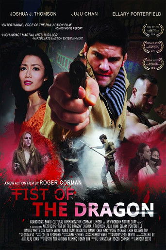Fist of the Dragon movie poster