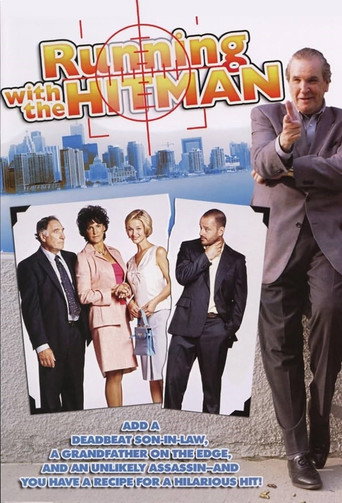 Run of the Hitman movie poster