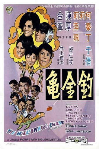 The Millionaire Chase movie poster