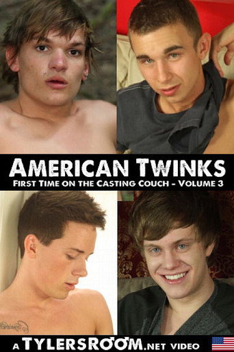 American Twinks 3 movie poster