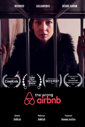 The Wrong Airbnb movie poster
