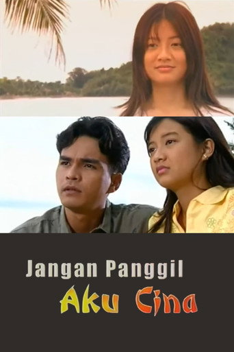 Jangan Panggil Aku Cina movie poster