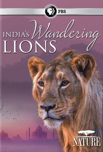 India's Wandering Lions movie poster