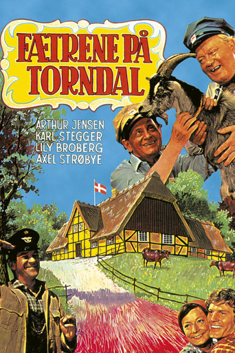 Fætrene på Torndal movie poster