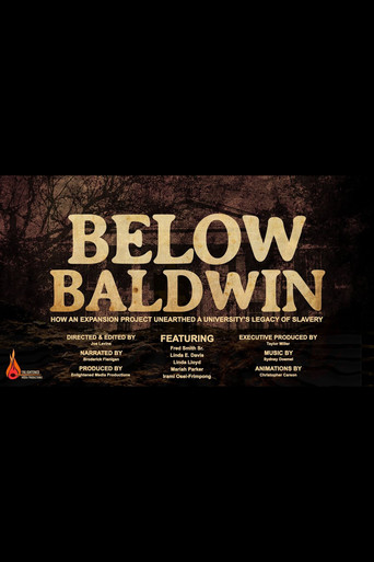 Below Baldwin: How an Expansion Project Unearthed a University's Legacy of Slavery movie poster