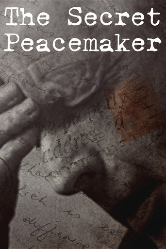 The Secret Peacemaker movie poster
