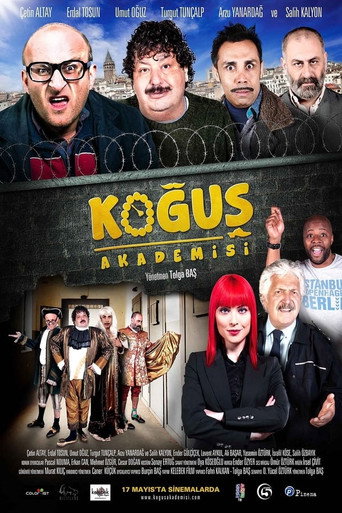 Dorm Academy movie poster