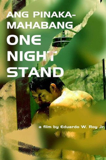 Ang Mga Pinakamahabang One Night Stand movie poster