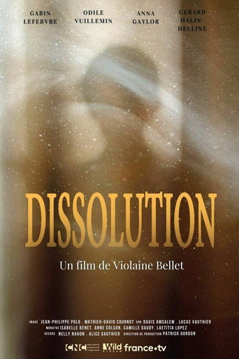 Dissolution movie poster