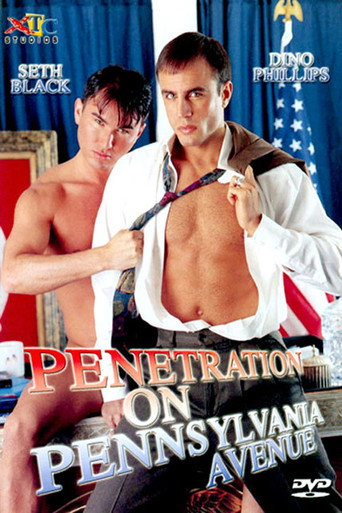 Penetration on Pennsylvania Avenue movie poster