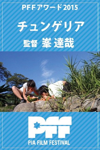 Chungueria movie poster
